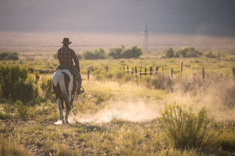 Man on horse in west Texas